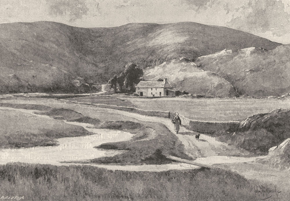 WALES. The First house on the Severn. Blaenhafren 1901 old antique print